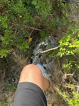 swissboy22 online show from July 29, 2026, 7:51 am