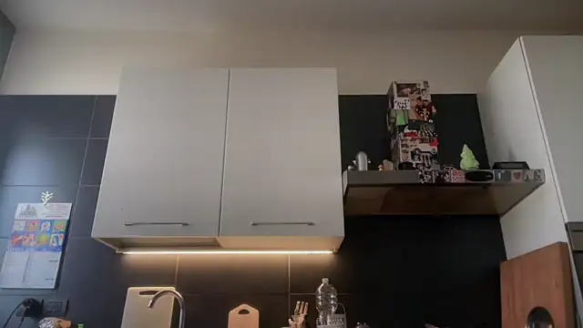 theitalianbear online show from January 10, 2026, 9:15 am