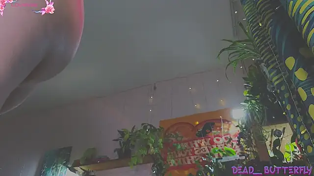 Dead Butterfly online show from February 8, 2025, 3:41 am