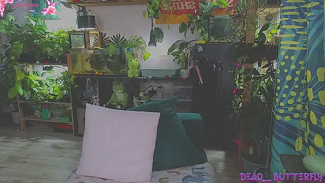 Dead Butterfly online show from February 16, 2025, 4:20 am