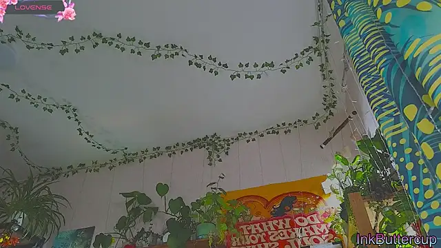 Dead Butterfly online show from September 18, 2025, 3:09 am