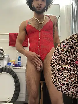 Snapshot of thelightskinprince chatting on January 29, 2025, 10:11 pm thelightskinprince online show from January 29, 2025, 10:11 pm