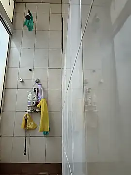 ReopenedBachelor online show from January 15, 2026, 12:58 am