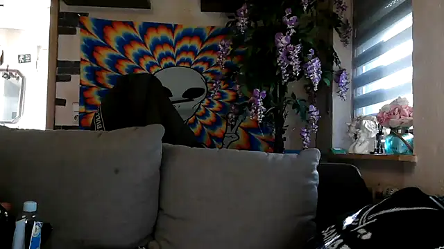 RoxxyInk online show from November 12, 2025, 11:03 am