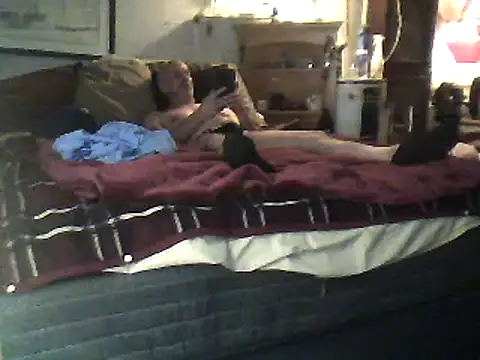 Snapshot of Biknight chatting on February 12, 2025, 4:44 am Biknight online show from February 12, 2025, 4:44 am
