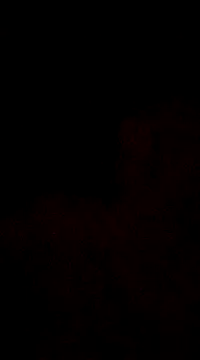 6crimson6 online show from December 30, 2024, 4:20 am