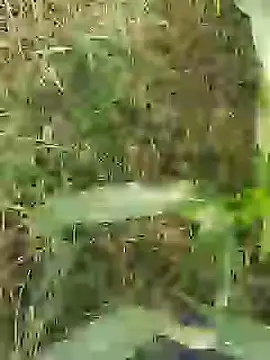 Snapshot of ThethunderPo chatting on March 29, 2026, 2:57 am ThethunderPo online show from March 29, 2026, 2:57 am