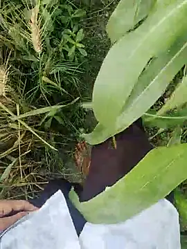 ThethunderPo online show from March 21, 2025, 2:50 am