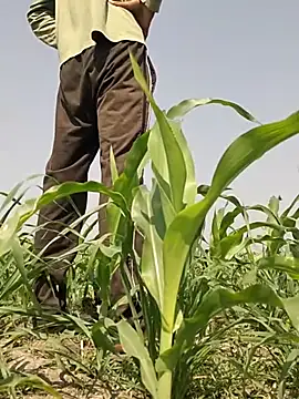 Snapshot of ThethunderPo chatting on March 2, 2026, 7:37 am ThethunderPo online show from March 2, 2026, 7:37 am