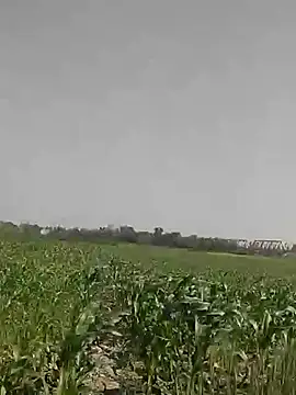 ThethunderPo online show from March 3, 2025, 4:21 am