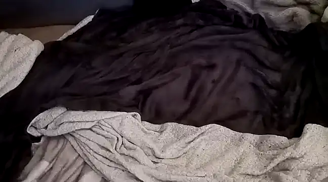 Chubby DIck4you online show from January 26, 2025, 10:12 am