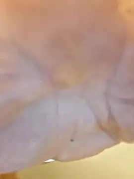 ThickDMattyxh online show from November 1, 2025, 4:41 am