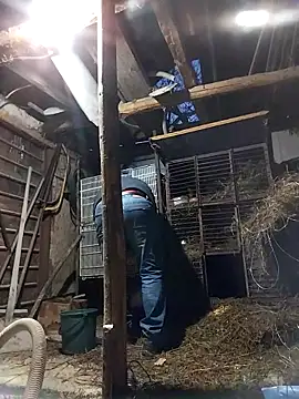 Snapshot of sarpe4 chatting on February 19, 2026, 4:15 pm sarpe4 online show from February 19, 2026, 4:15 pm