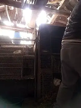 Snapshot of sarpe4 chatting on January 10, 2026, 8:20 am sarpe4 online show from January 10, 2026, 8:20 am