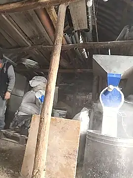 Snapshot of sarpe4 chatting on January 8, 2026, 7:58 am sarpe4 online show from January 8, 2026, 7:58 am