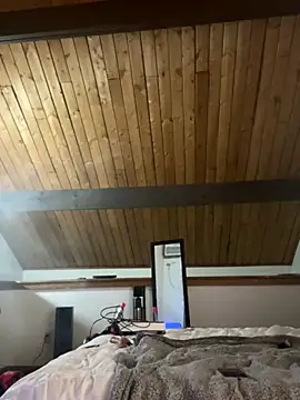 odbodu online show from November 23, 2025, 8:57 am