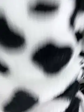 sandylau online show from February 6, 2026, 1:23 am