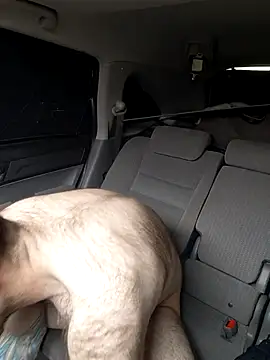 Snapshot of Cooking_Cristal chatting on March 20, 2026, 5:36 pm Cooking Cristal online show from March 20, 2026, 5:36 pm