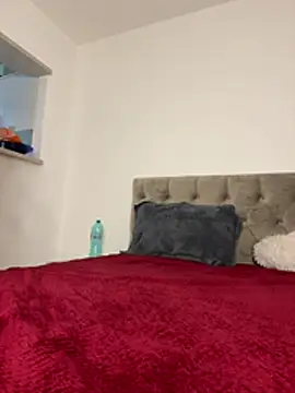 Snapshot of IrisBlues chatting on January 12, 2026, 4:47 pm IrisBlues online show from January 12, 2026, 4:47 pm