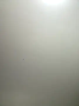 itsCassie online show from December 17, 2025, 2:55 pm