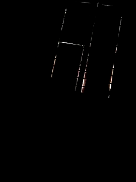 raj6fe online show from October 9, 2025, 1:06 am