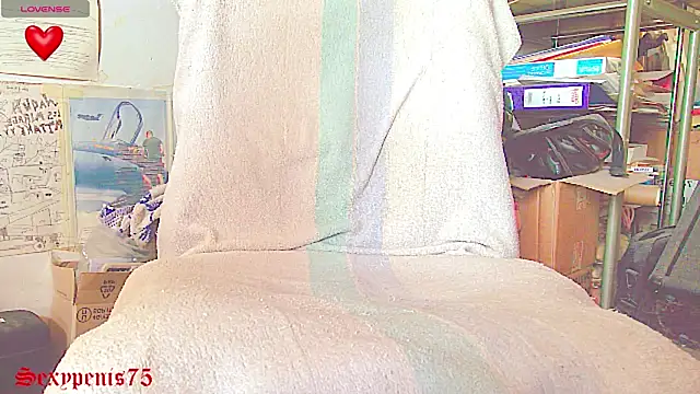 sexypenis75 online show from January 12, 2026, 9:38 am