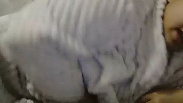 Snapshot of beautylovess chatting on April 4, 2026, 6:53 am beautylovess online show from April 4, 2026, 6:53 am