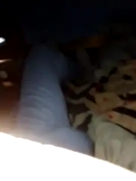 Pavlosss online show from February 27, 2026, 8:19 pm