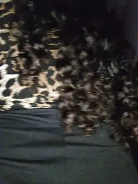 blerstefan1 online show from November 3, 2025, 4:28 am