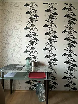 LORA x online show from March 7, 2025, 2:34 pm