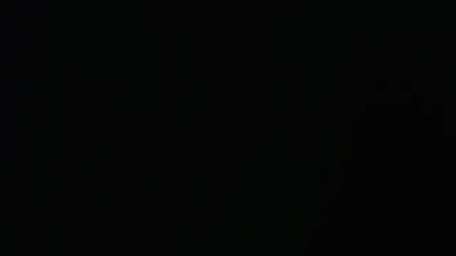 seeker797 online show from March 17, 2026, 2:14 am