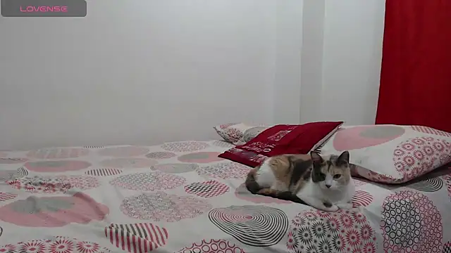 Snapshot of Aroon_Stonne chatting on June 5, 2026, 4:17 am Aroon Stonne online show from June 5, 2026, 4:17 am