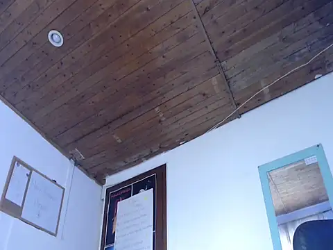 Snapshot of alisterxxx chatting on March 25, 2026, 2:38 pm alisterxxx online show from March 25, 2026, 2:38 pm