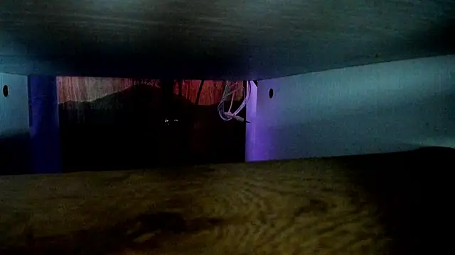 Snapshot of any_sophia chatting on April 8, 2026, 6:31 pm any sophia online show from April 8, 2026, 6:31 pm