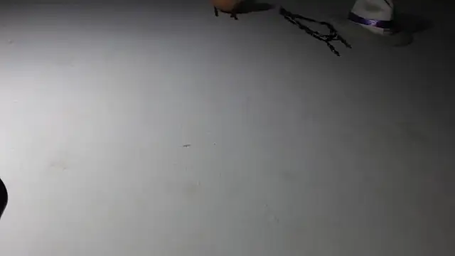 adrixxx38 online show from January 17, 2026, 11:19 pm