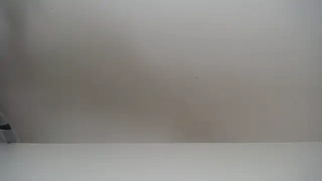 Snapshot of salomecastro_ chatting on November 19, 2025, 6:30 pm salomecastro online show from November 19, 2025, 6:30 pm