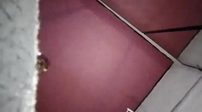 Snapshot of Mariusz38x chatting on December 30, 2024, 10:34 pm Mariusz38x online show from December 30, 2024, 10:34 pm