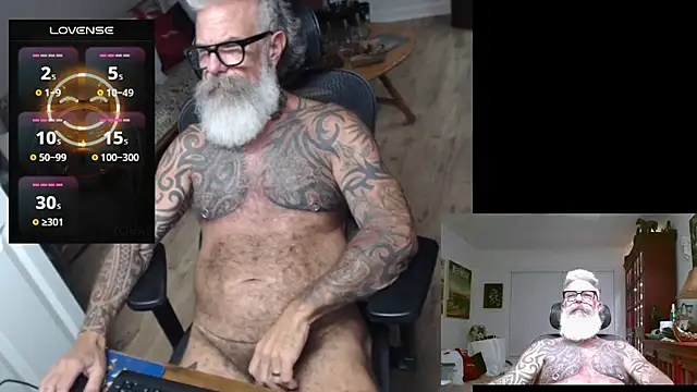 njdbear online show from July 31, 2026, 2:44 am