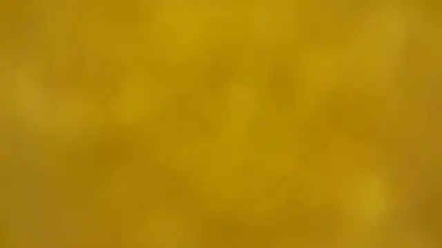 fmodel online show from December 16, 2025, 2:43 pm