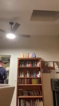 pussyaddict21 online show from January 24, 2025, 4:05 am