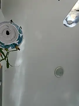 tropikboy online show from June 7, 2026, 11:48 am