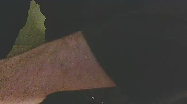 Snapshot of Palimy chatting on December 14, 2024, 3:06 am Palimy online show from December 14, 2024, 3:06 am