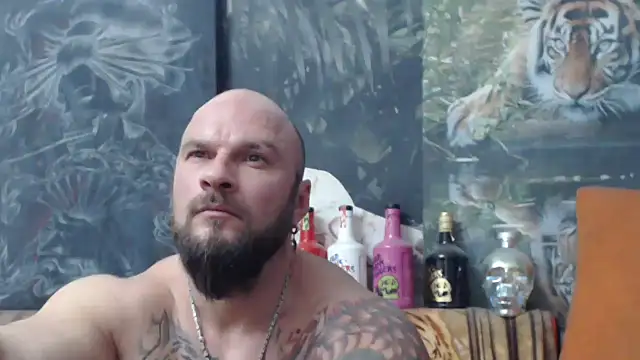 viking 30 online show from November 14, 2025, 8:01 pm