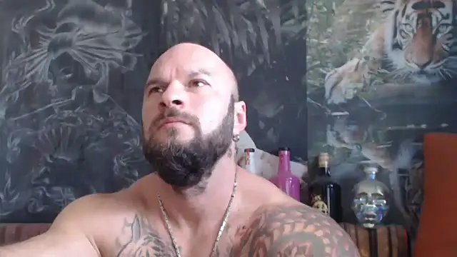 viking 30 online show from October 21, 2025, 5:51 am