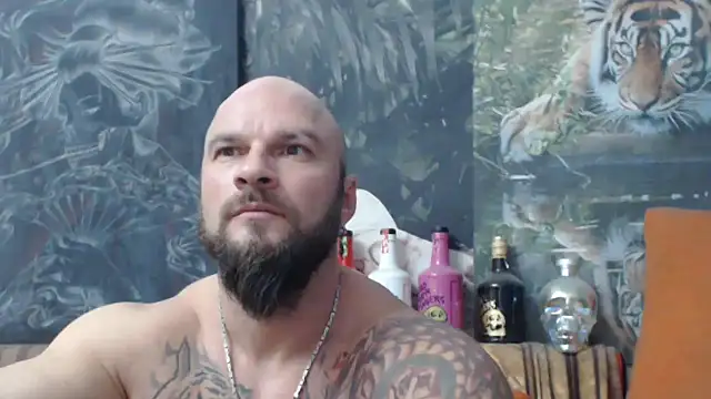 viking 30 online show from November 19, 2025, 7:03 pm