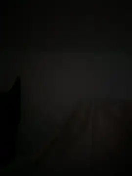 Snapshot of Marocainegroscul chatting on November 16, 2025, 7:02 am Marocainegroscul online show from November 16, 2025, 7:02 am