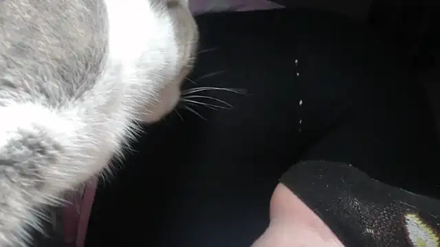 Snapshot of prettyangelsquirt chatting on April 14, 2026, 11:43 pm prettyangelsquirt online show from April 14, 2026, 11:43 pm