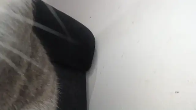 Snapshot of prettyangelsquirt chatting on April 8, 2026, 11:28 pm prettyangelsquirt online show from April 8, 2026, 11:28 pm