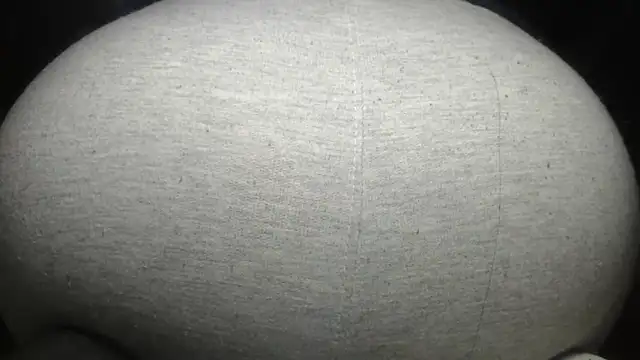 Snapshot of prettyangelsquirt chatting on April 4, 2026, 11:11 pm prettyangelsquirt online show from April 4, 2026, 11:11 pm