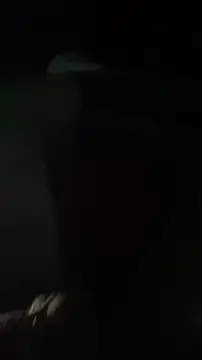 Kingnik13 online show from November 23, 2025, 6:34 am